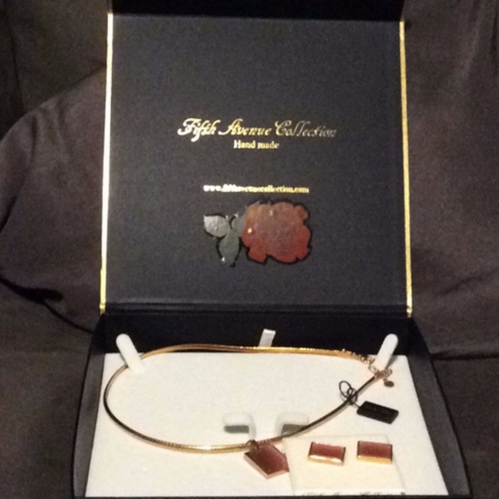 NWT 2pc earring & necklace set